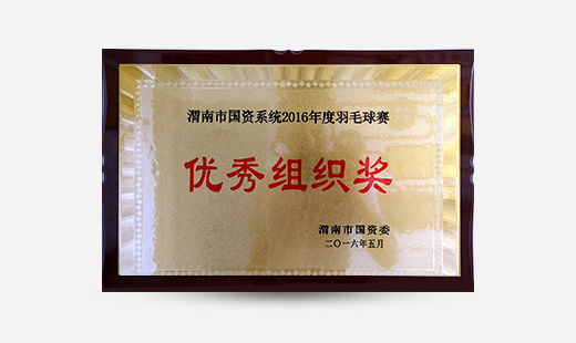 渭南市国资系统2016年度羽毛球赛优秀组织奖
